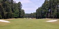 Foxfire Golf & Resort - Grey Fox Review